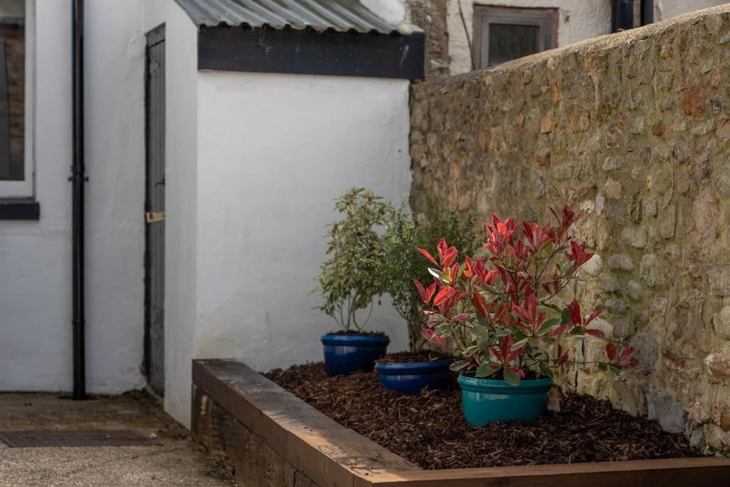 Seashells, Close To Seafront, Large Private Garden Apartamento Lyme Regis